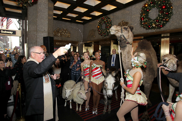 Photo Flash: The Animals of THE CHRISTMAS SPECTACULAR Load In at Radio City Music Hall  Image