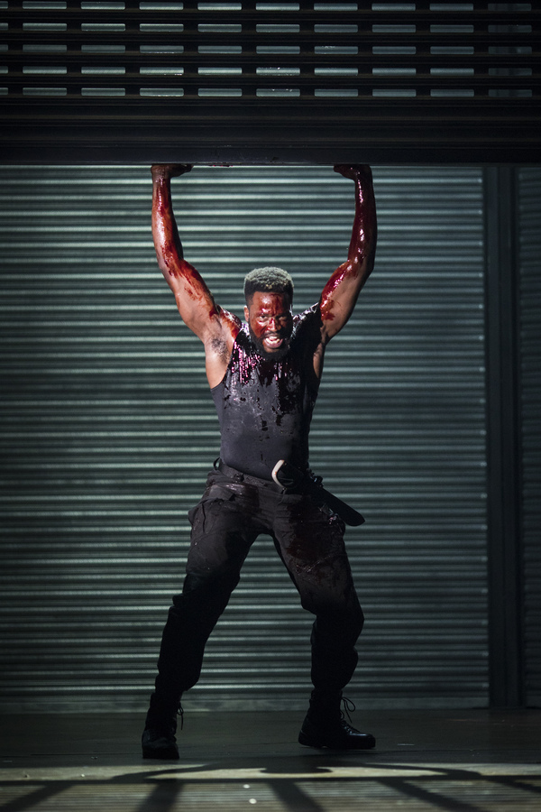 Photo Flash: Royal Shakespeare Company's Production of 
CORIOLANUS Comes to River Street Theatre 