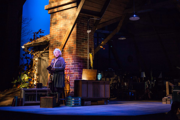 Photo Flash: Tyne Daly Stars in CHASING MEM'RIES: A DIFFERENT KIND OF MUSICAL at Geffen Playhouse 