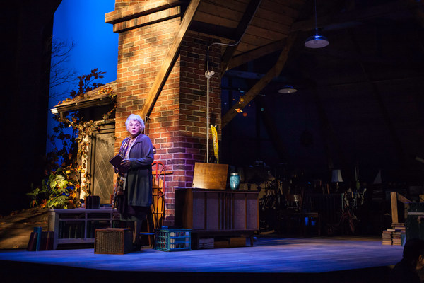 Photo Flash: Tyne Daly Stars in CHASING MEM'RIES: A DIFFERENT KIND OF MUSICAL at Geffen Playhouse Image