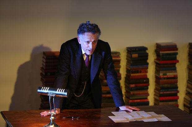 Review: David Greenspan Flies Solo in Eugene O'Neill's STRANGE INTERLUDE Image