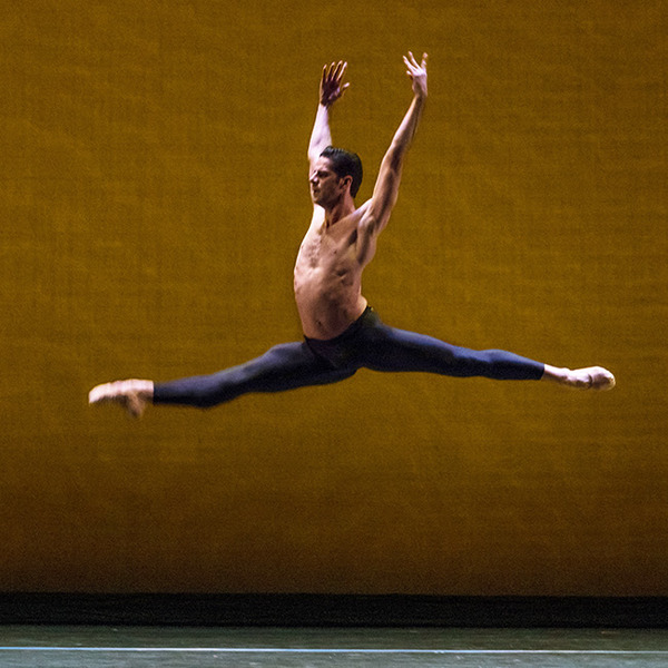 Photo Flash: The Sarasota Ballet to present METROPOLITAN Next Month Image