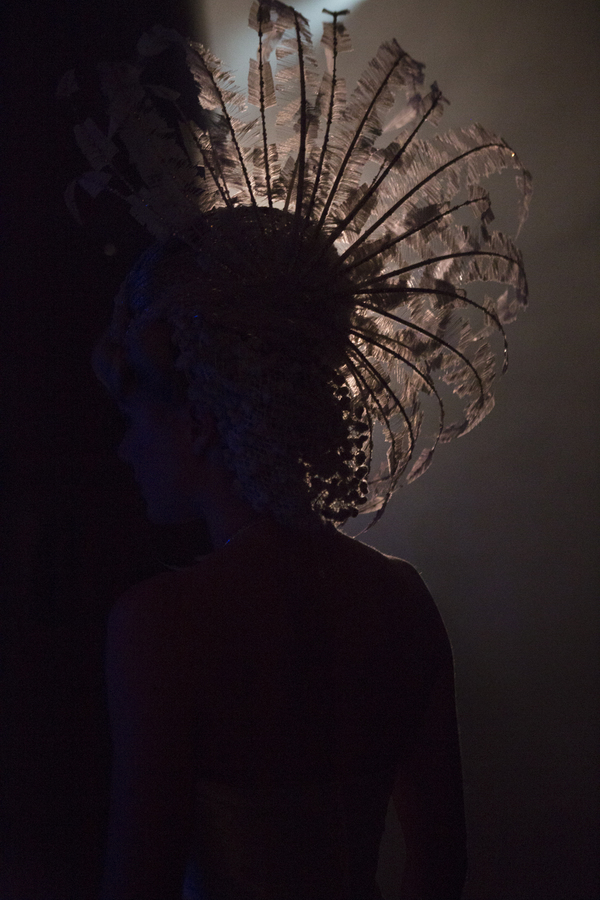 Photo Flash: Behind The Scenes Images Released To Mark Live Cinema Broadcast Of National Theatre Production Of FOLLIES Image