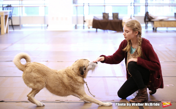 Photo Coverage: In Rehearsal with the Cast of ANNIE at Paper Mill Playhouse! Image