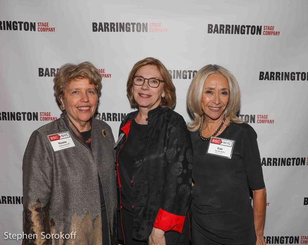 Photo Coverage: Barrington Stage Company Announces $125,000 Raised at BSC/NYC Benefit Image