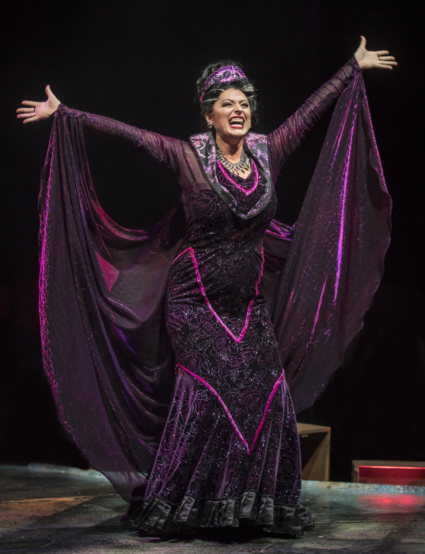 Photo Flash: The Marriott Theatre presents SLEEPING BEAUTY Image