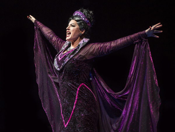 Photo Flash: The Marriott Theatre presents SLEEPING BEAUTY Image