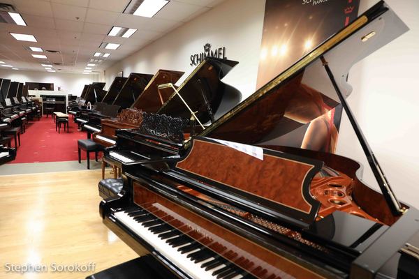 Photo Coverage: Dixie Rascals Sextet Swing at Forte Piano Concert Space Image