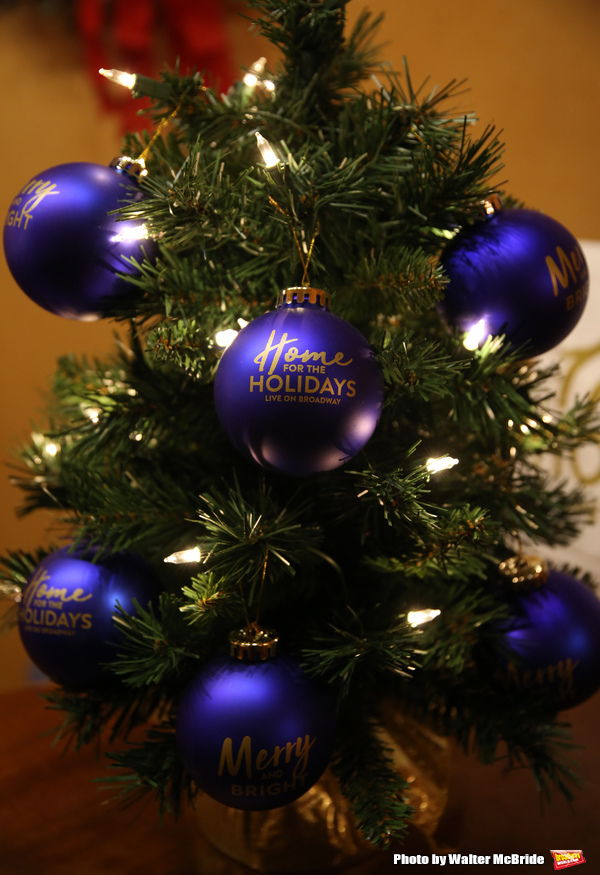 Photo Coverage: On the Opening Night Red Carpet for HOME FOR THE HOLIDAYS! Image