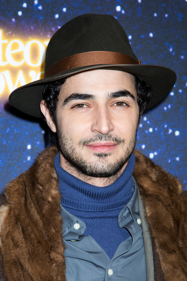 Photo Coverage: On the Star-Studded Red Carpet for METEOR SHOWER! Image