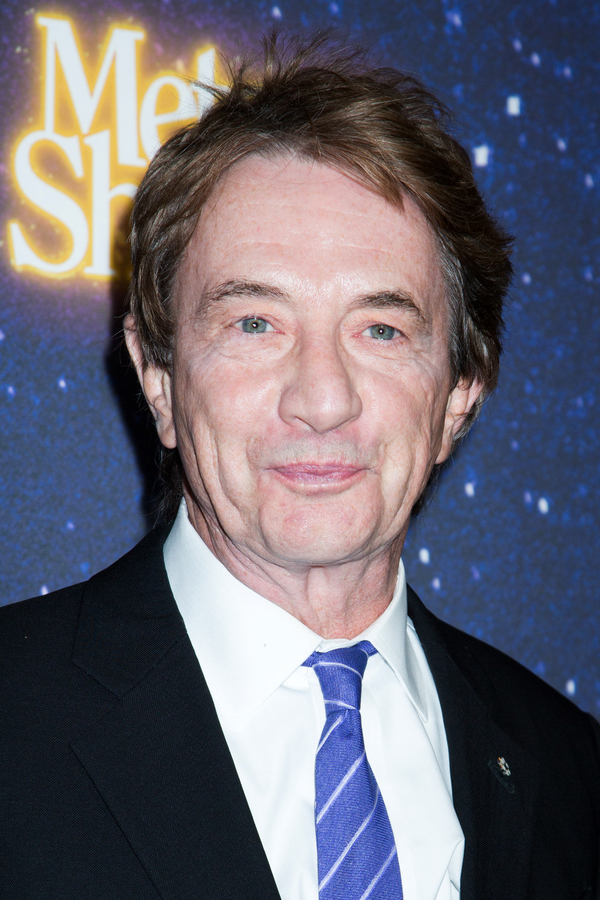 Photo Coverage: On the Star-Studded Red Carpet for METEOR SHOWER! Image