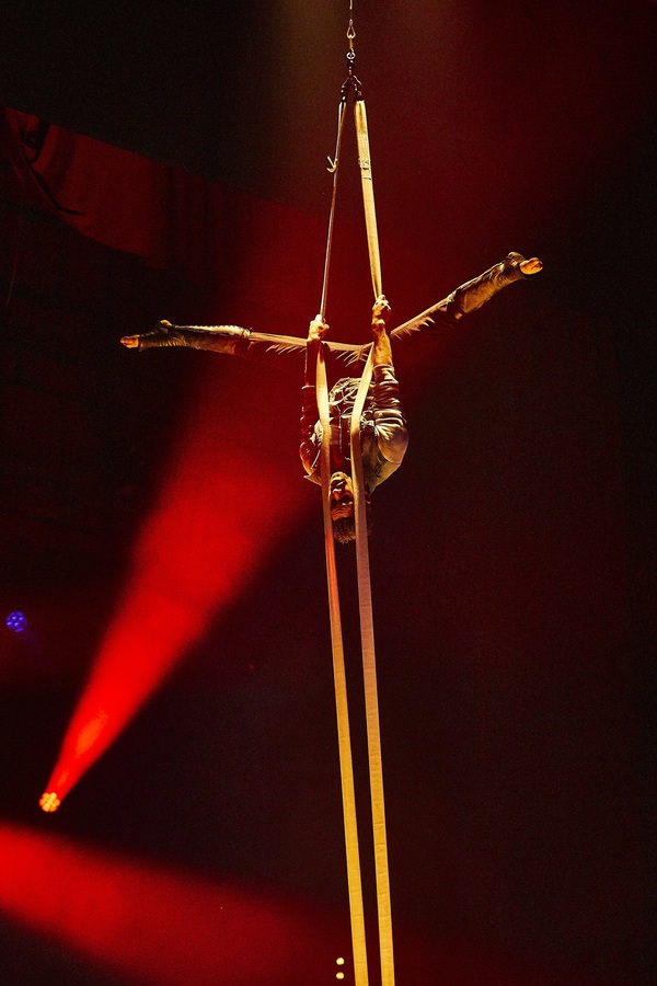 Photo Flash: First Look at Cabaret Circus LA SOIREE in the West End Image