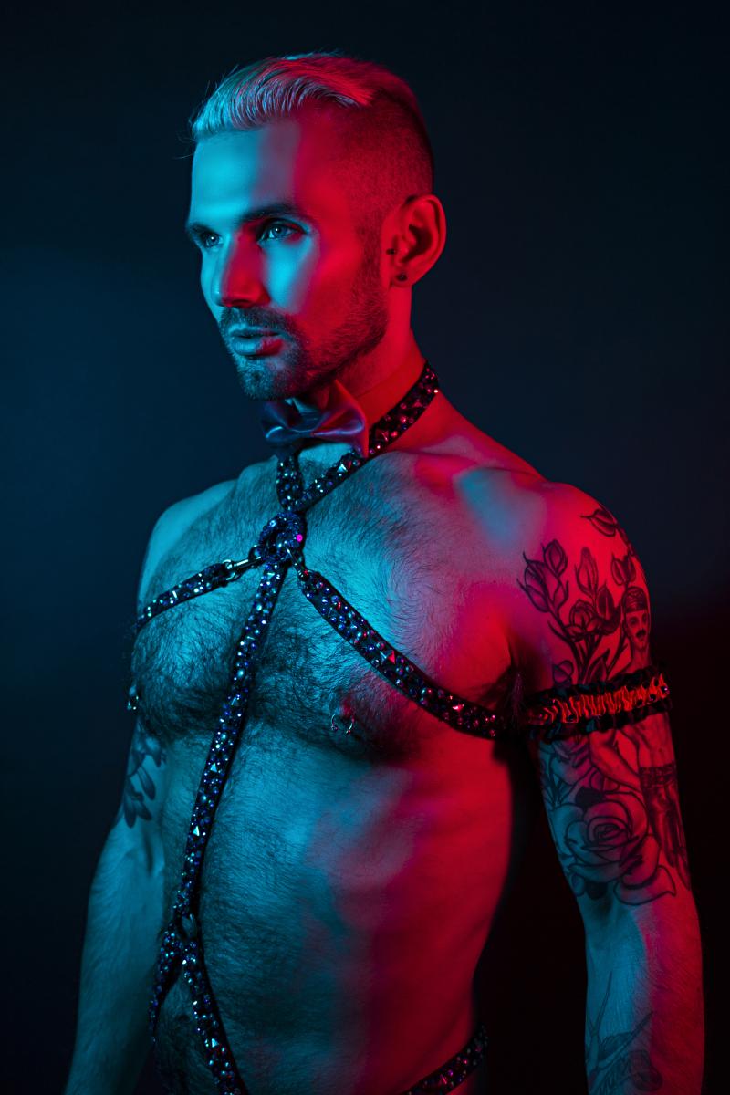 Review: Chris Harder's PORN TO BE A STAR Offers Witty Social Commentary Image