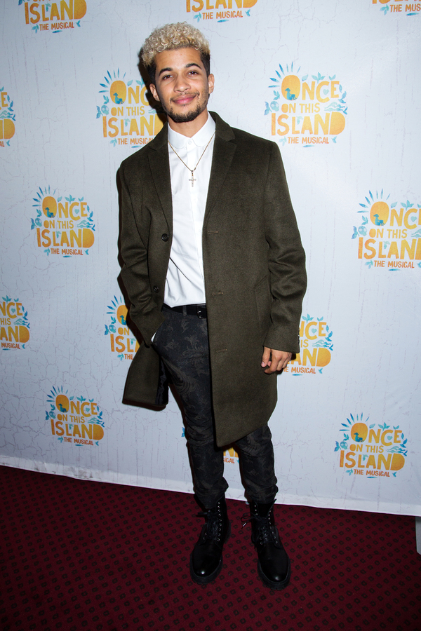 Photo Coverage: On the Opening Night Red Carpet for ONCE ON THIS ISLAND! Image