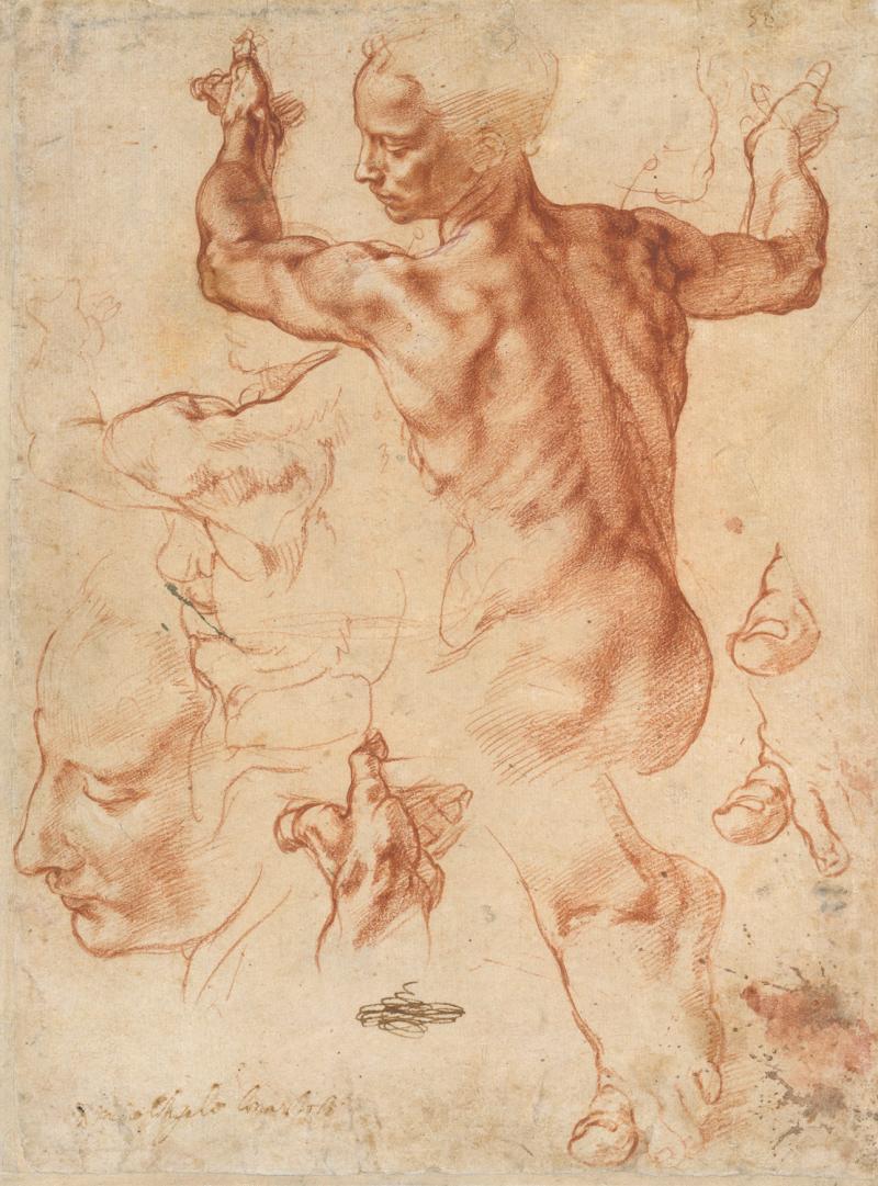 Michelangelo and More at the MET/METs  Image