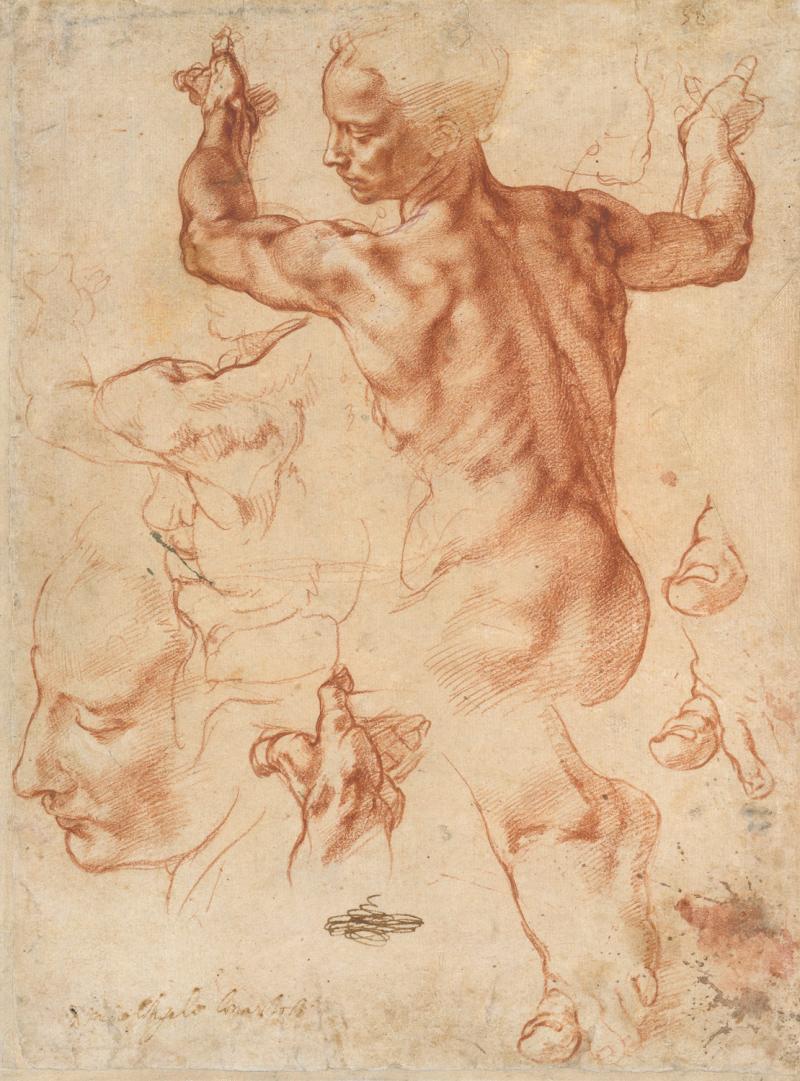 Michelangelo and More at the MET/METs Image