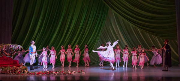 Photo Coverage: Nashville Ballet's 10th Year of NASHVILLE'S NUTCRACKER Image