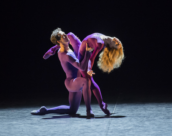 Photo Flash: First Look at Project Polunin's SATORI Image
