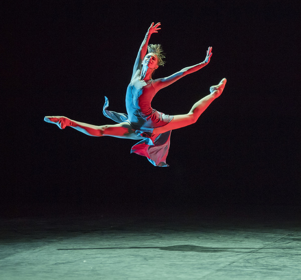 Photo Flash: First Look at Project Polunin's SATORI Image