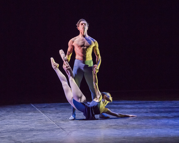 Photo Flash: First Look at Project Polunin's SATORI Image
