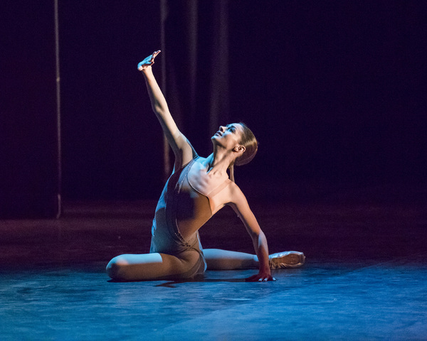 Photo Flash: First Look at Project Polunin's SATORI Image