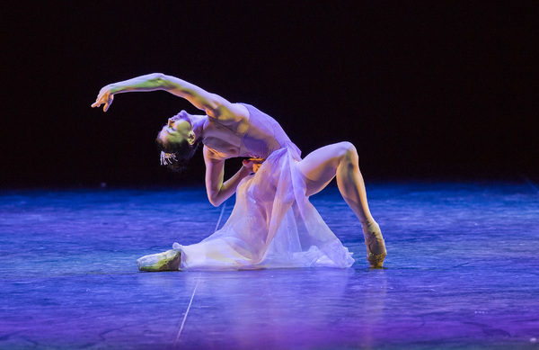 Photo Flash: First Look at Project Polunin's SATORI Image
