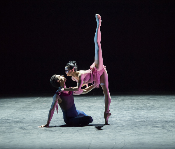 Photo Flash: First Look at Project Polunin's SATORI Image