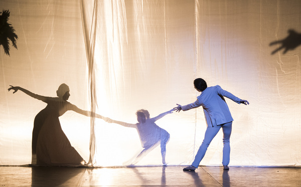 Photo Flash: First Look at Project Polunin's SATORI Image