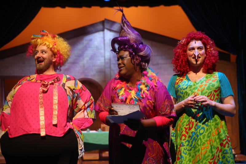 Review: CINDERELLA: AN OUTRAGEOUS FAIRY TALE at Birmingham Children's Theatre is Pure Magic Image