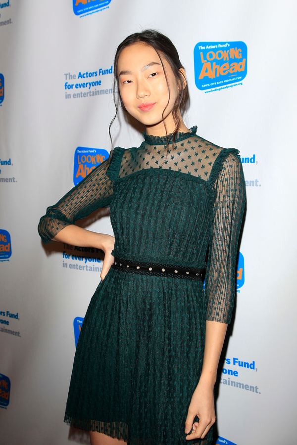 Photo Flash: The Actor's Fund Celebrates 2017 Looking Ahead Awards Image