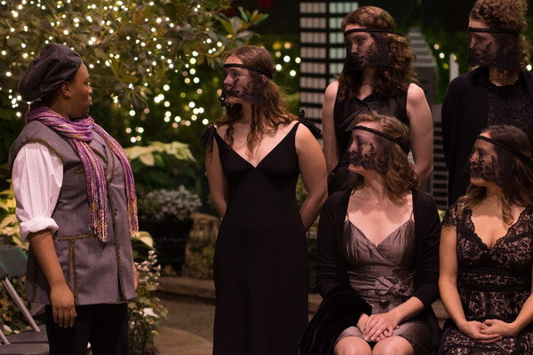 Photo Flash: First Look at Midsommer Flight's TWELFTH NIGHT Image
