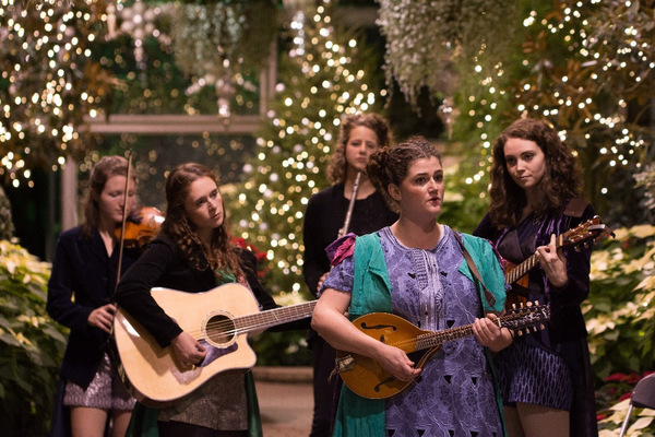 Photo Flash: First Look at Midsommer Flight's TWELFTH NIGHT Image