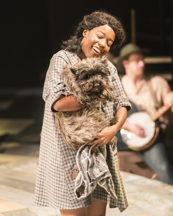 Photo Flash: First Look - Head Down the Yellow Brick Road with THE WIZARD OF OZ at the Crucible Theatre Image