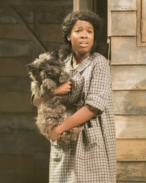 Photo Flash: First Look - Head Down the Yellow Brick Road with THE WIZARD OF OZ at the Crucible Theatre Image