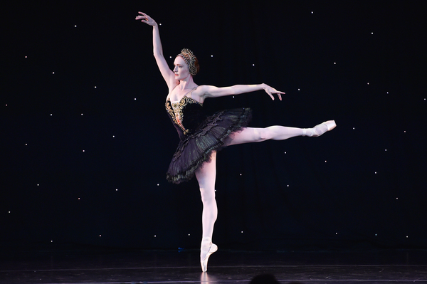 Photo Flash: American Ballet Theatre Hosts 2017 Holiday Benefit in Beverly Hills Image