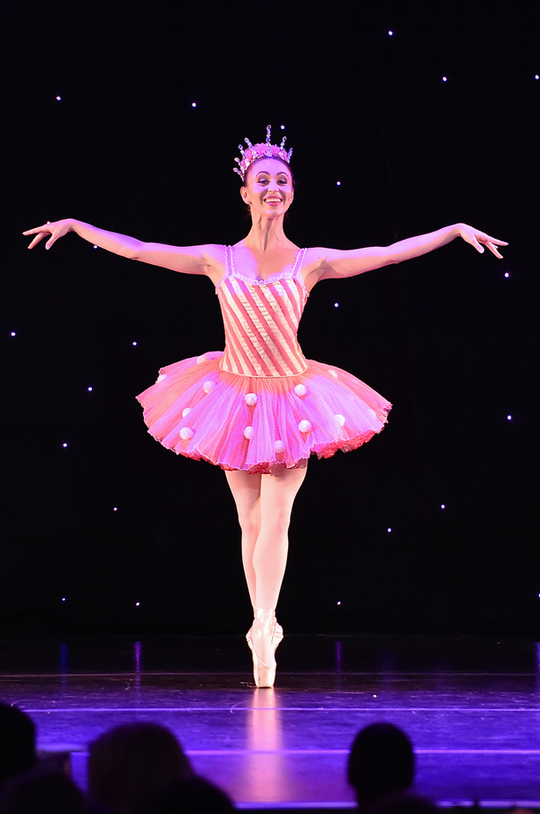 Photo Flash: American Ballet Theatre Hosts 2017 Holiday Benefit in Beverly Hills Image