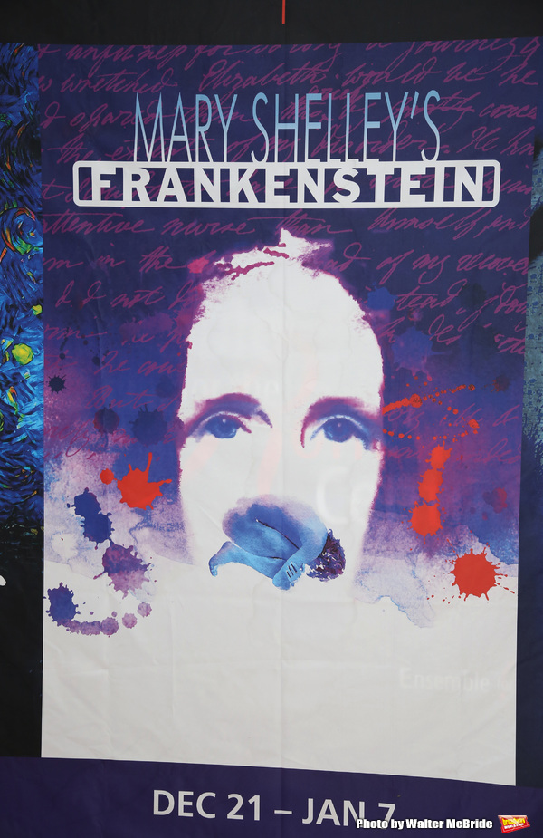 Photo Coverage: Meet the Cast of MARY SHELLEY'S FRANKENSTEIN Image