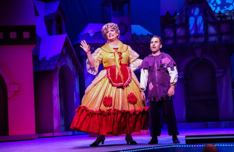 Review: SLEEPING BEAUTY AND HER WINTER KNIGHT Brings Out the Child in All at Theatre Under The Stars 