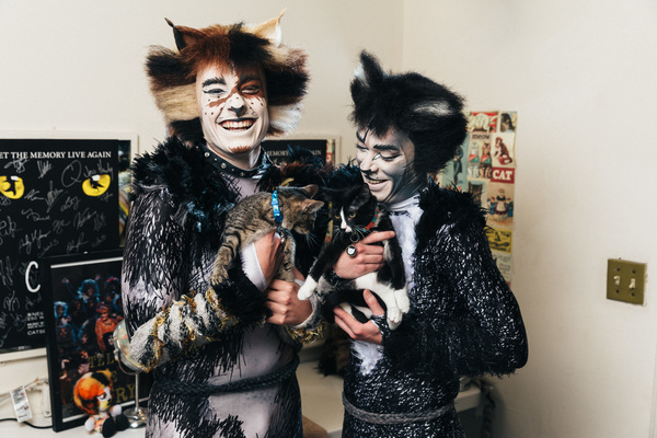 Photo Flash: Mamie Parris and the Cast of CATS Pose with Adorable, Adoptable Felines Image
