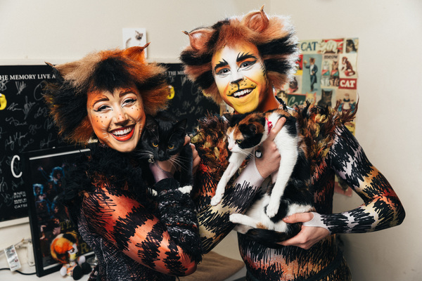 Photo Flash: Mamie Parris and the Cast of CATS Pose with Adorable, Adoptable Felines Image