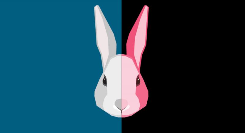 BWW Previews: WHITE RABBIT RED RABBIT at Baltimore Center Stage Promises Surprises for Audiences and Actors Alike Image