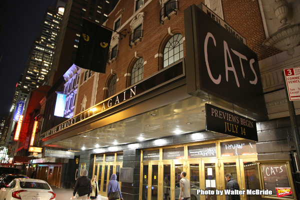 Happy Tails: CATS Takes Final Jellicle Pounce on Broadway Tonight! Image