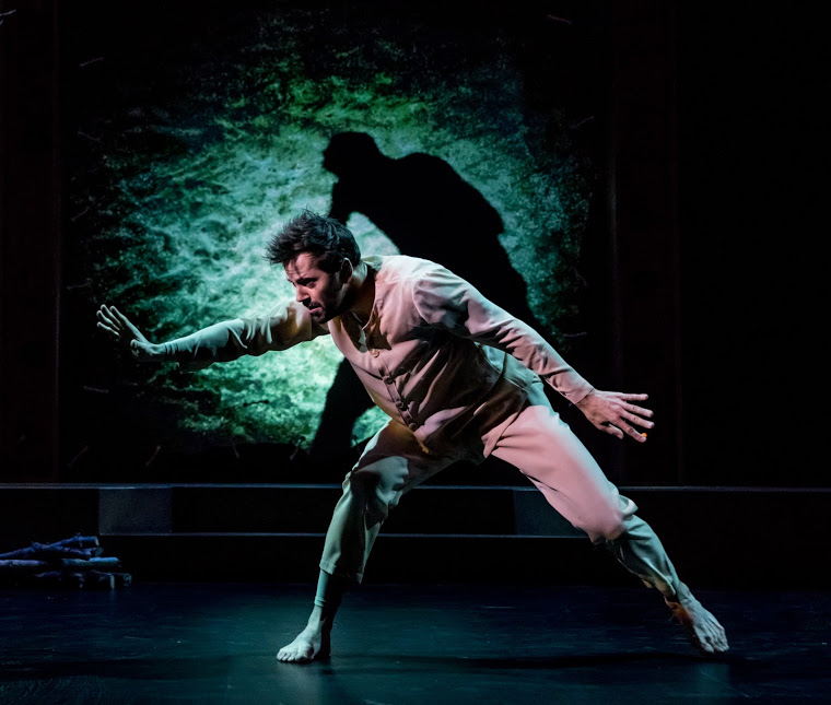 Review: Robert Fairchild Brings Captivating Dramatic Beauty To MARY SHELLEY'S FRANKENSTEIN Image
