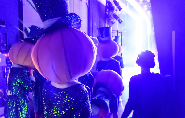 Photo Flash: Birmingham Hippodrome Releases Enchanting New Images From Behind the Scenes Of CINDERELLA Image