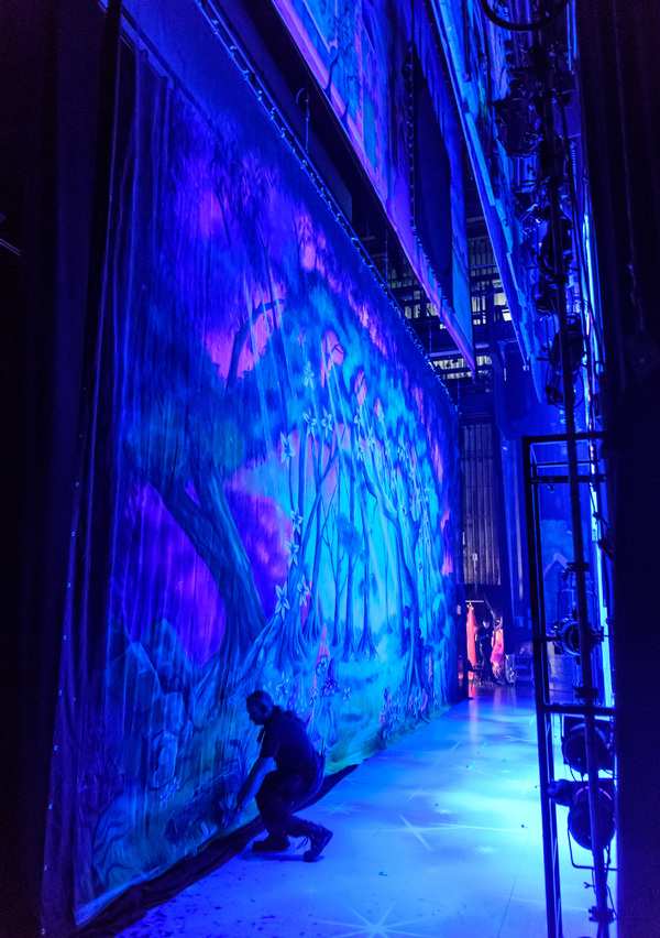 Photo Flash: Birmingham Hippodrome Releases Enchanting New Images From Behind the Scenes Of CINDERELLA 