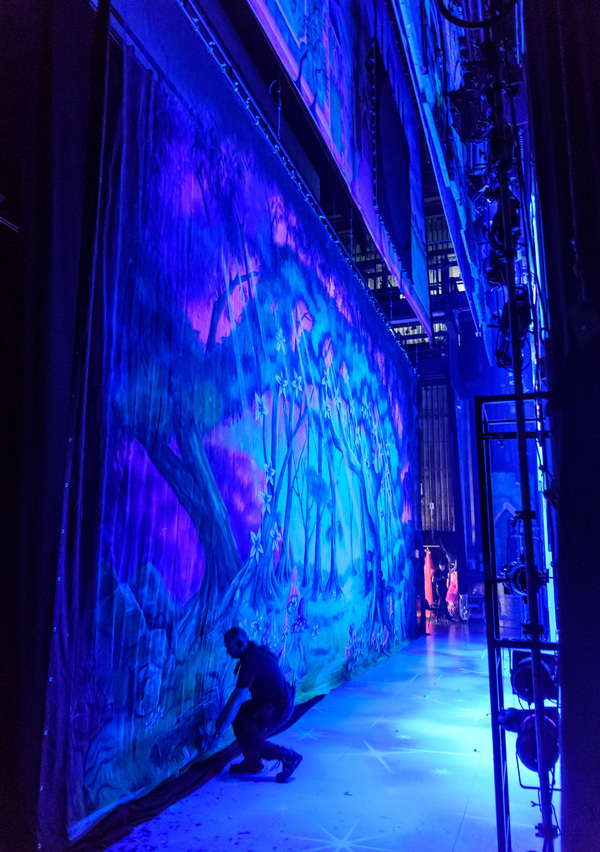 Photo Flash: Birmingham Hippodrome Releases Enchanting New Images From Behind the Scenes Of CINDERELLA Image