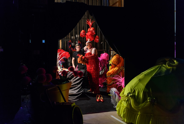 Photo Flash: Birmingham Hippodrome Releases Enchanting New Images From Behind the Scenes Of CINDERELLA Image