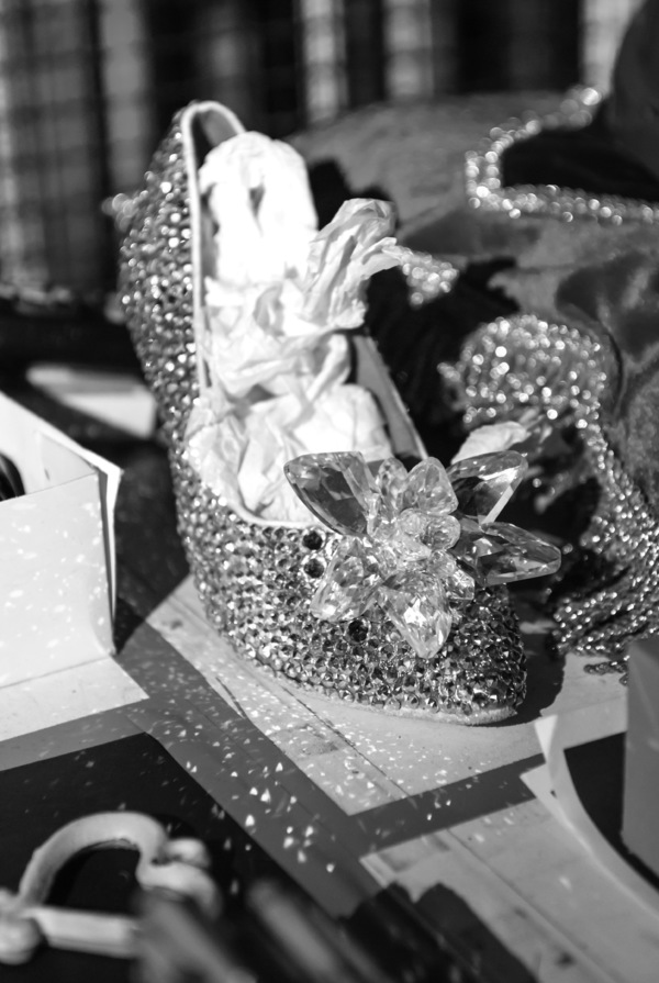 Photo Flash: Birmingham Hippodrome Releases Enchanting New Images From Behind the Scenes Of CINDERELLA Image