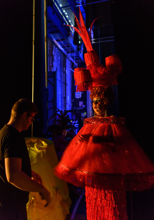 Photo Flash: Birmingham Hippodrome Releases Enchanting New Images From Behind the Scenes Of CINDERELLA Image