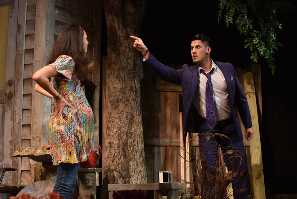Photo Flash: Orlando Shakespeare Theater Presents NATIVE GARDENS Image